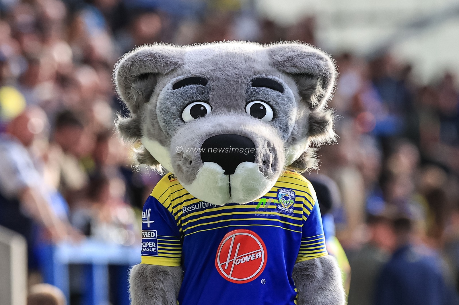 Wolfie Warrington Wolves mascot