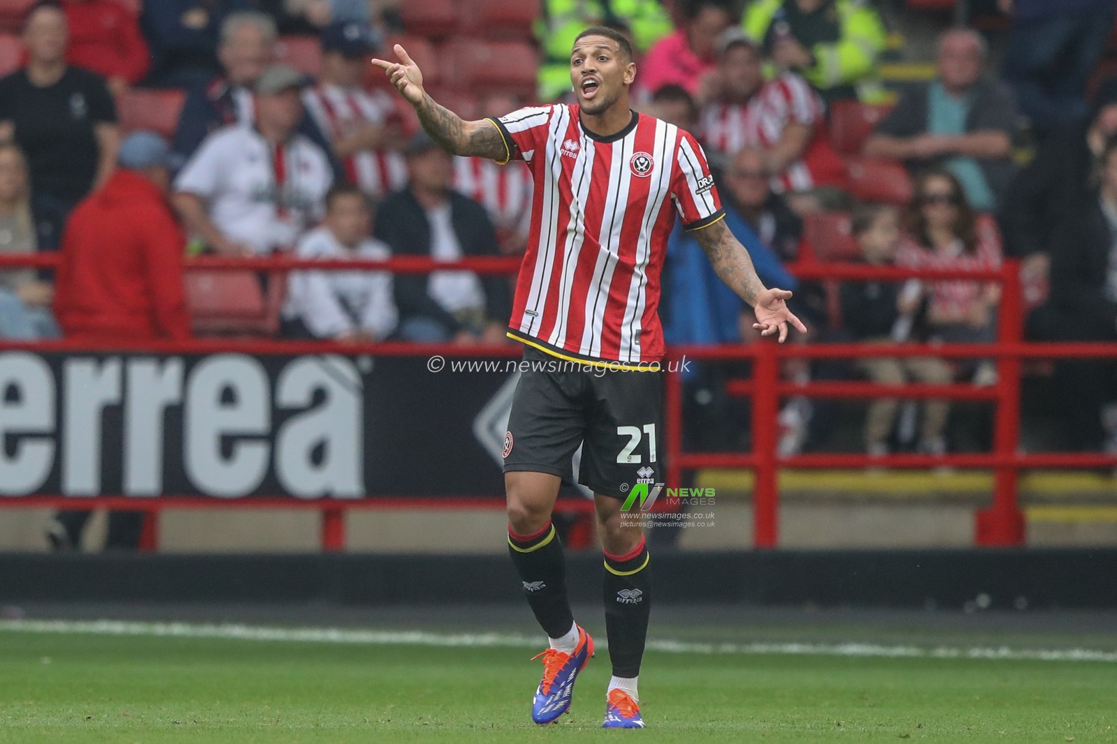 Vinicius Souza of Sheffield United reacts during the Sky Bet Championship match Sheffield United vs Watford at Bramall Lane, Sheffield, United Kingdom, 1st September 2024

(Photo by Alfie Cosgrove/News Images)