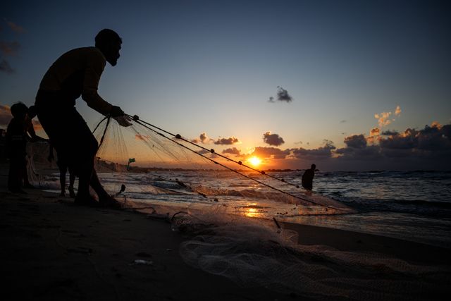 A fisherman searches for food on the beach of Khan Younis city. November 18, 2024, Gaza, Palestine