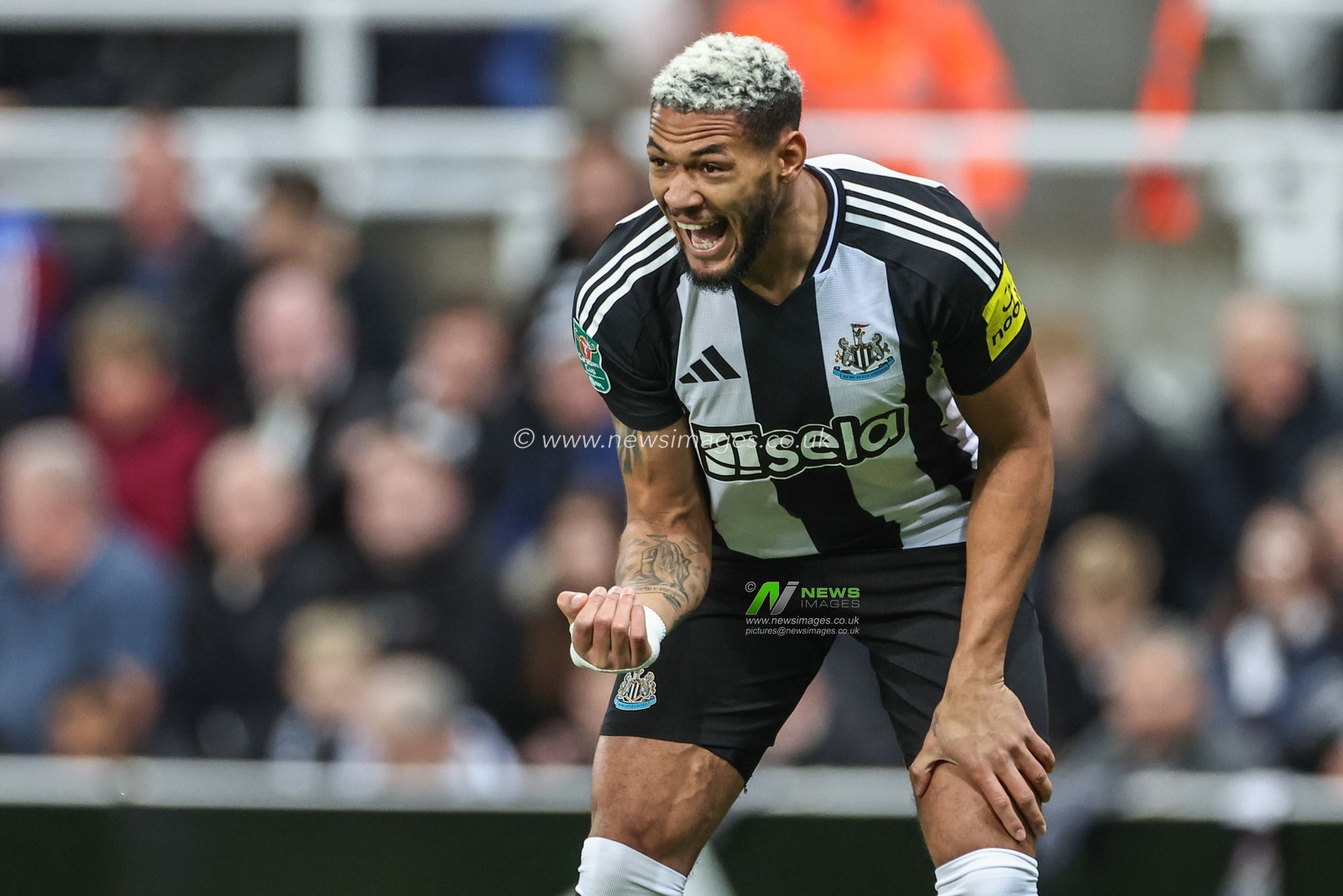 Joelinton of Newcastle United gives his team instructions during the Carabao Cup Last 16 match Newcastle United vs Chelsea at St. James's Park, Newcastle, United Kingdom, 30th October 2024

(Photo by Mark Cosgrove/News Images)
