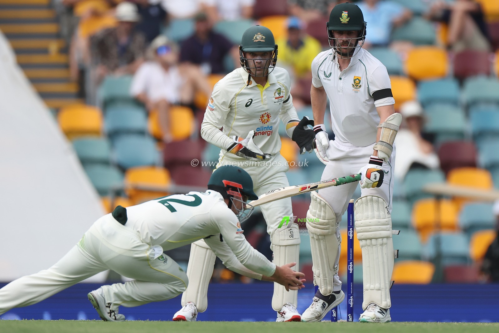 Travis Head of Australia takes a catch during the NRMA Insurance test Series match Australia vs South Africa at The Gabba, Brisbane Cricket Ground, Brisbane, Australia, 17th December 2022

(Photo by Patrick Hoelscher/News Images)