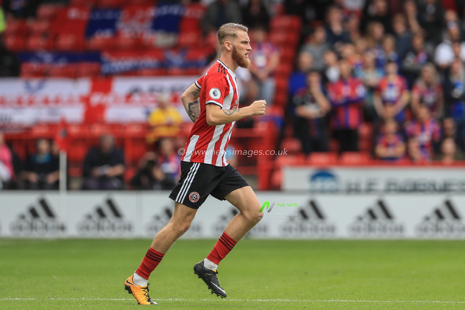 18th August 2019 , Bramall Lane, Sheffield, England; Premier League Football, Sheffield United vs Crystal Palace ; Oliver McBurnie (9) of Sheffield United comes on for Callum Robinson (11) of Sheffield United 


Credit: Mark Cosgrove/News Images

English Football League images are subject to DataCo Licence