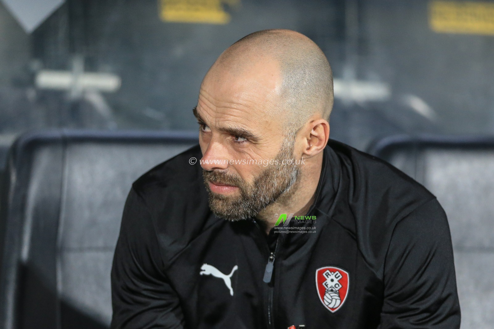 12th January 2019, KCOM Stadium, Hull , England; Sky Bet Championship, Hull City vs Rotherham United ; Paul Warne manager of Rotherham United 

Credit:   Mark Cosgrove/News Images

English Football League images are subject to DataCo Licence