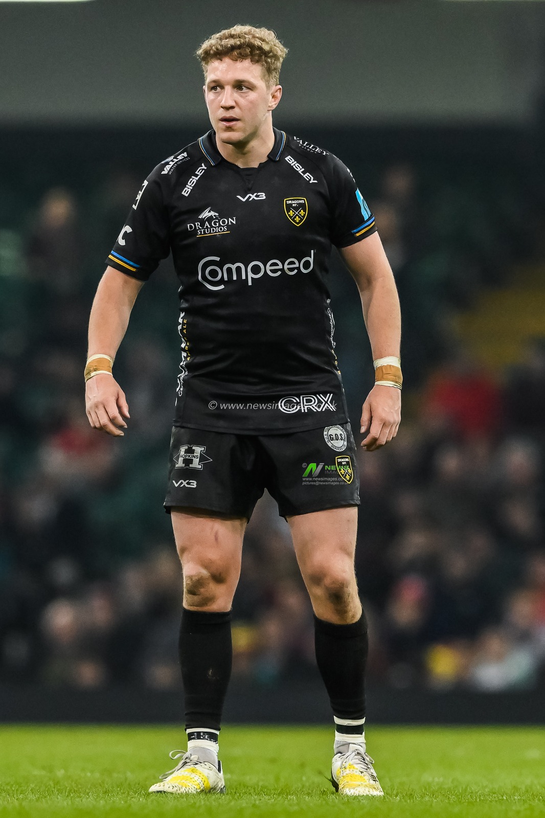 Angus Oâ€™Brien of the Dragons during the United Rugby Championship match Dragons Rugby vs Llanelli Scarlets at Principality Stadium, Cardiff, United Kingdom, 22nd April 2023

(Photo by Craig Thomas/News Images)