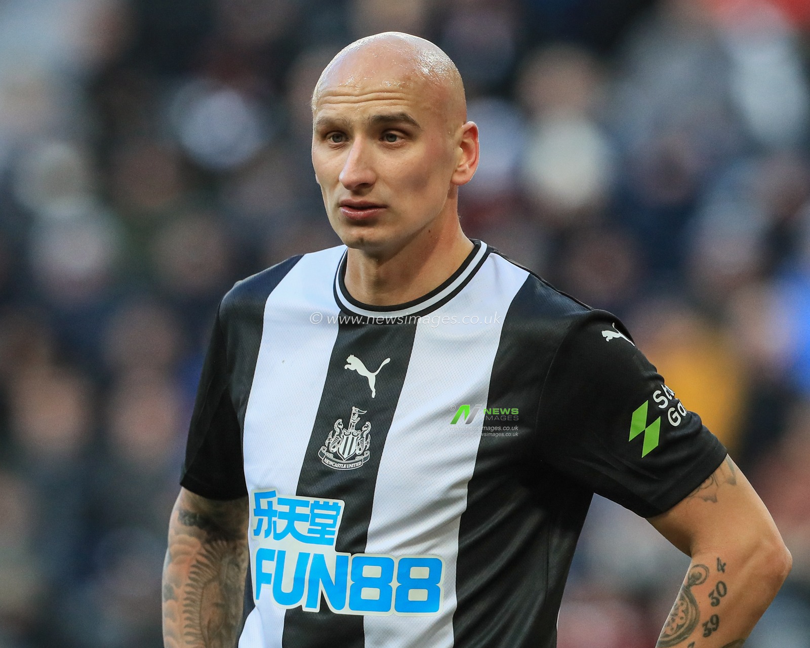29th February 2020, St. James's Park, Newcastle, England; Premier League, Newcastle United v Burnley : Jonjo Shelvey (8) of Newcastle United during the game