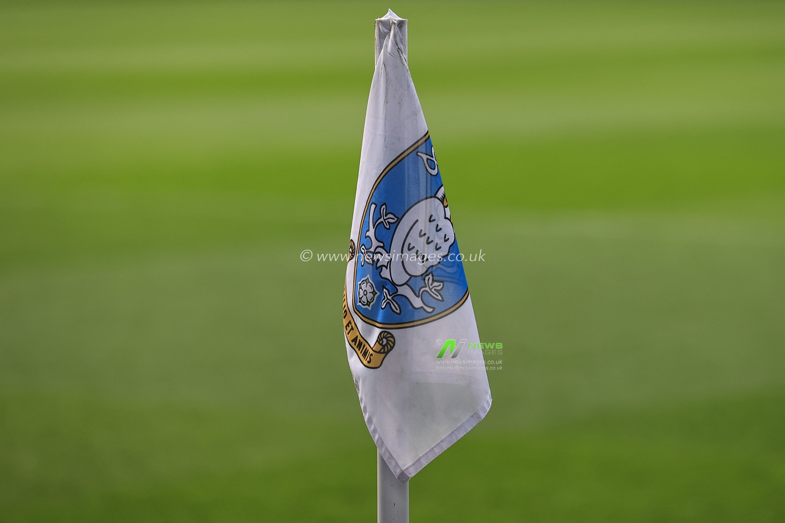 A corner flag at Hillsborough