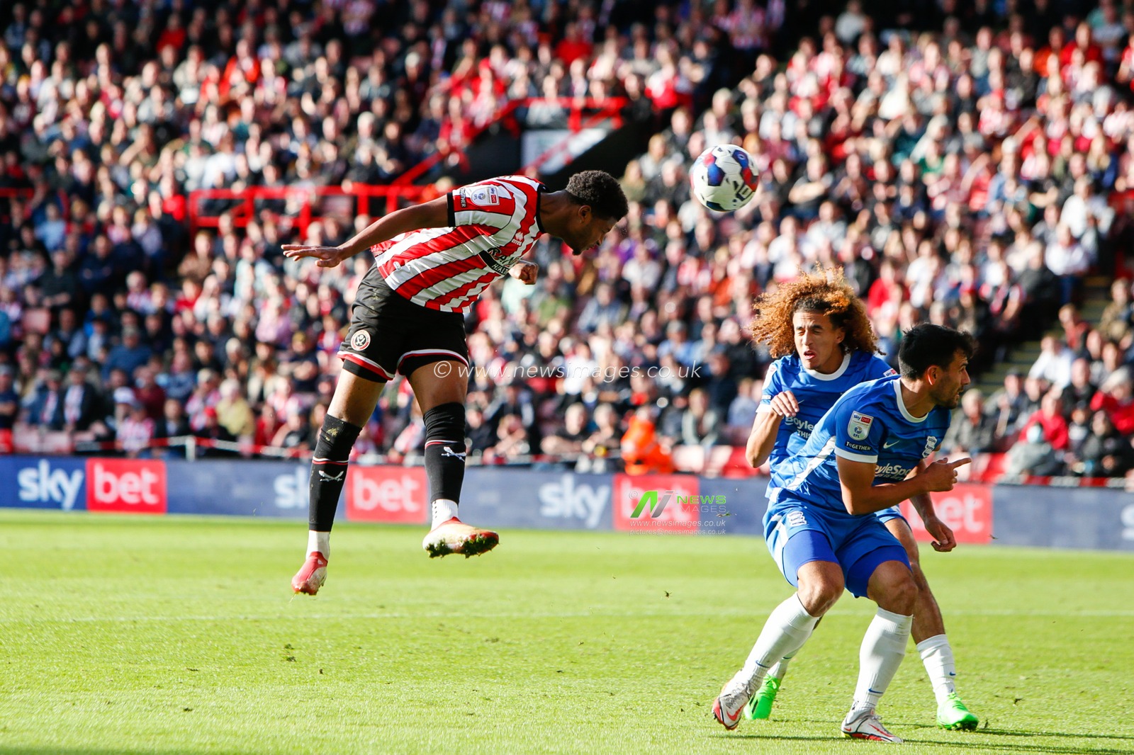 Rhian Brewster #7 of Sheffield United attempts a header at goal during the Sky Bet Championship match Sheffield United vs Birmingham City at Bramall Lane, Sheffield, United Kingdom, 1st October 2022

(Photo by Ben Early/News Images)