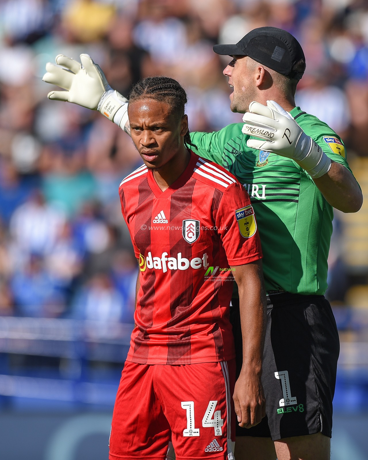 21st September 2019 , Hillsborough, Sheffield, England; Sky Bet Championship, Sheffield Wednesday vs Fulham : 
Credit: Dean Williams/News Images, Bobby Decordova-Reid (14) of Fulham and Keiren Westwood (1) of Sheffield Wednesday clash at a corner.

English Football League images are subject to DataCo Licence