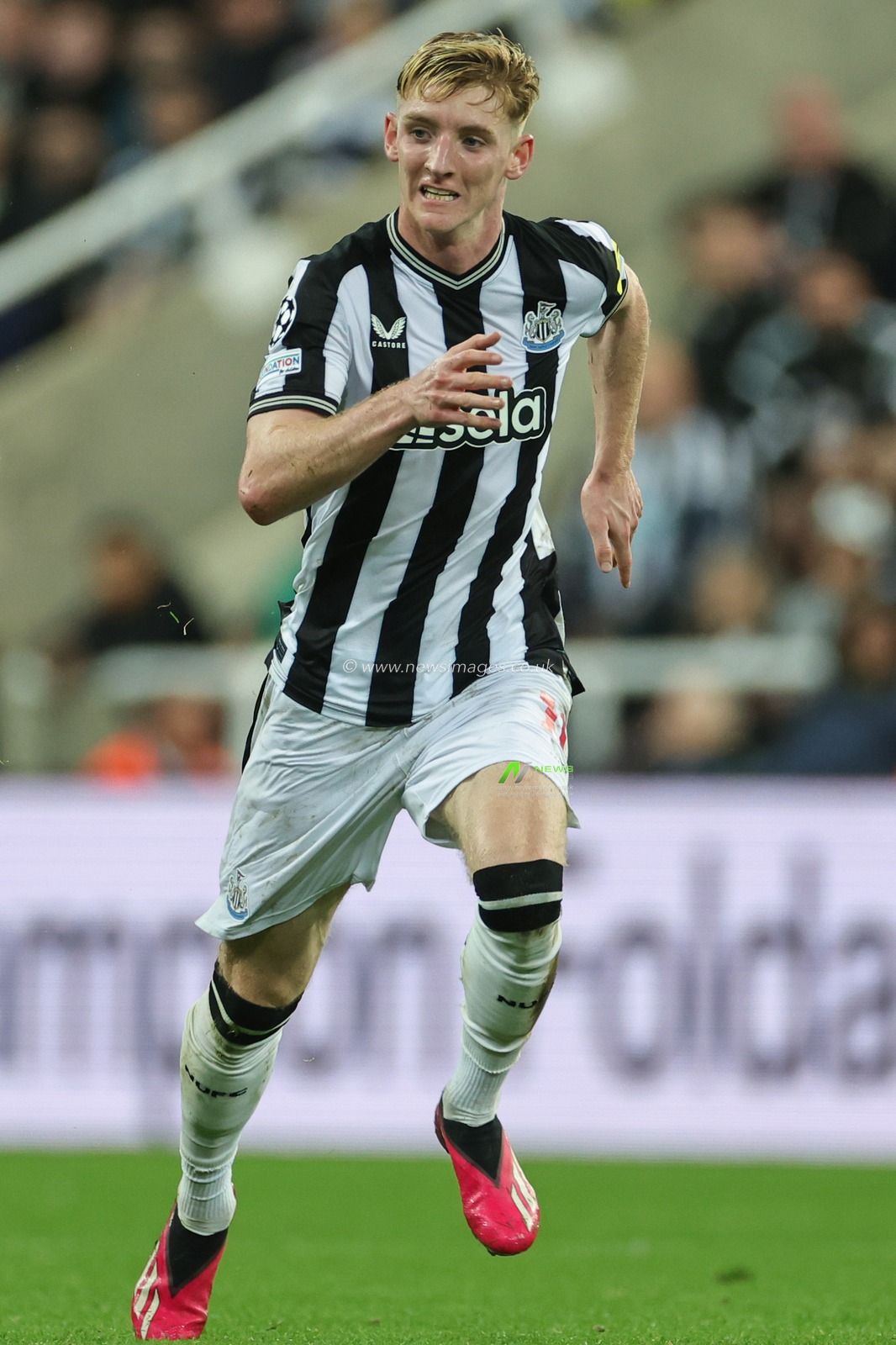 Anthony Gordon #10 of Newcastle United during the UEFA Champions League match Newcastle United vs Paris Saint-Germain at St. James's Park, Newcastle, United Kingdom, 4th October 2023

(Photo by Mark Cosgrove/News Images)