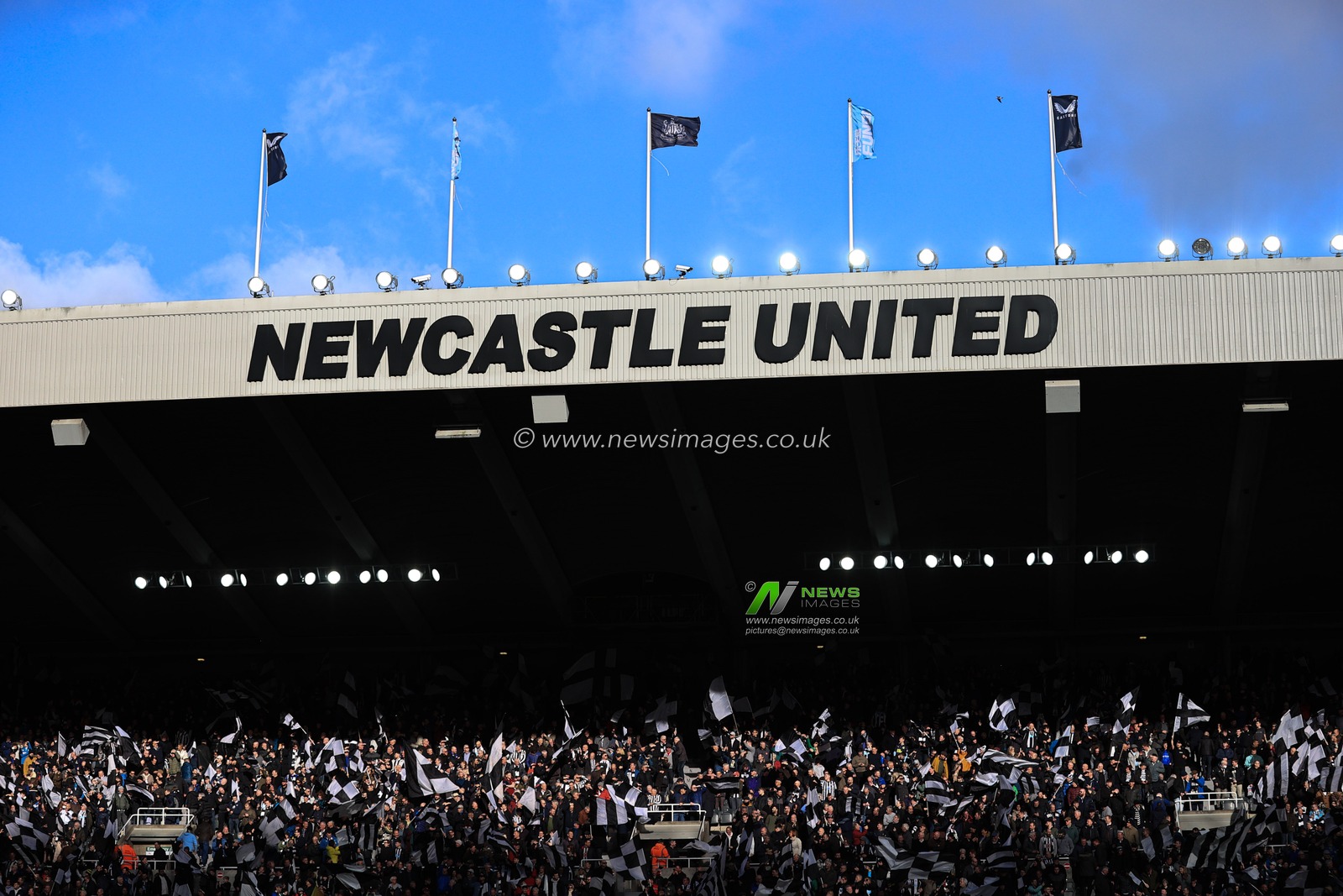 Scenes from St. James's Park