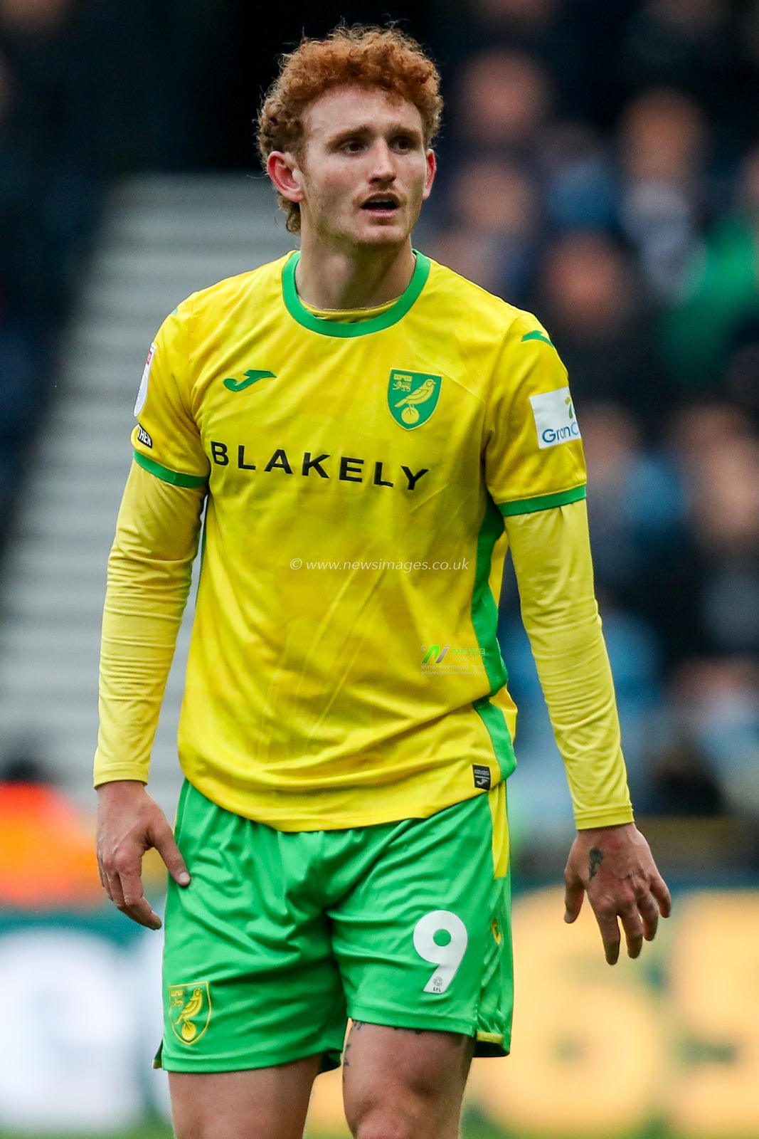 Josh Sargent of Norwich City looks on during the Sky Bet Championship match Millwall vs Norwich City at The Den, London, United Kingdom, 21st April 2025

(Photo by Izzy Poles/News Images)