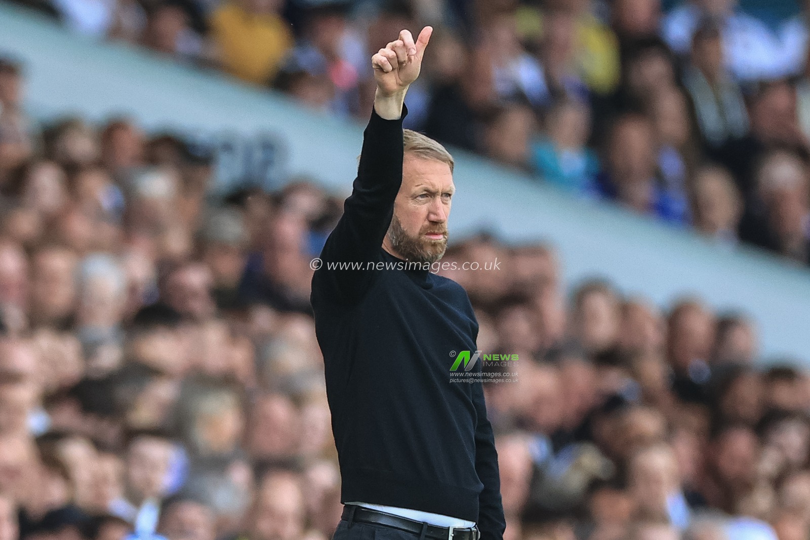 Graham Potter manager of Brighton & Hove Albion during the game