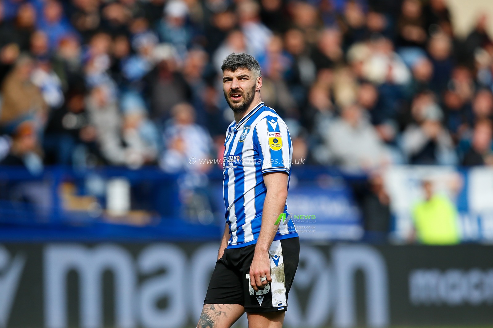 Callum Paterson #13 of Sheffield Wednesday during the Sky Bet League 1 match Sheffield Wednesday vs Exeter City at Hillsborough, Sheffield, United Kingdom, 22nd April 2023

(Photo by Ben Early/News Images)