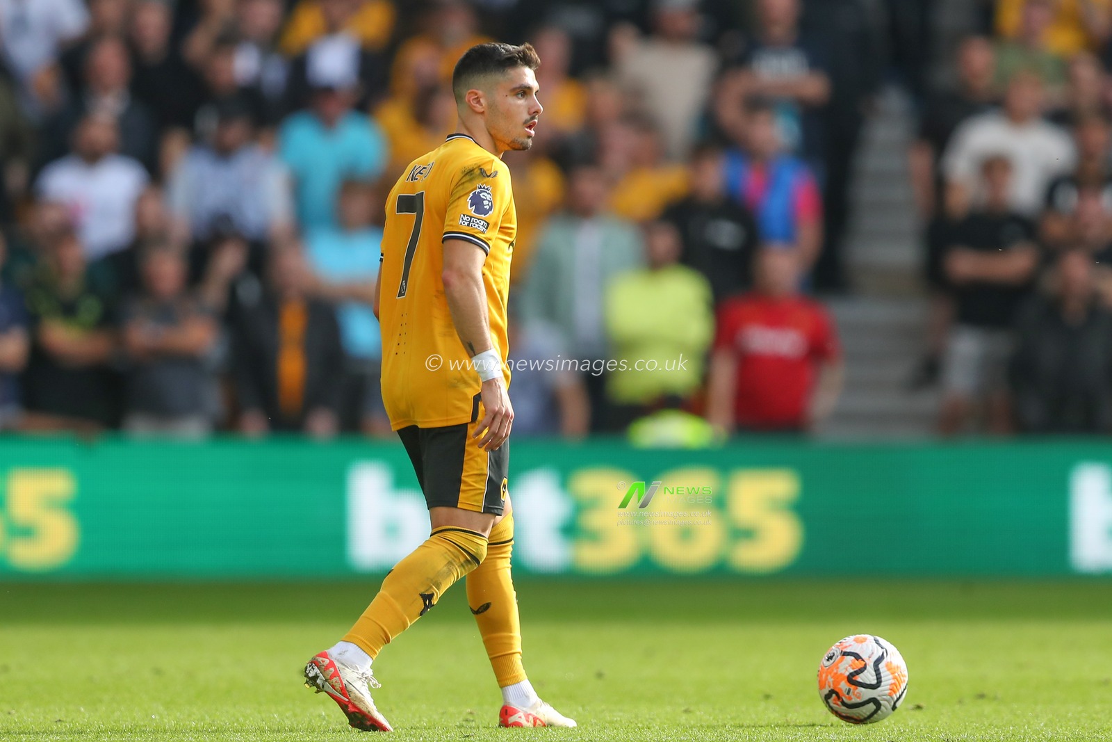 Pedro Neto #7 of Wolverhampton Wanderers in action during the Premier League match Wolverhampton Wanderers vs Aston Villa at Molineux, Wolverhampton, United Kingdom, 8th October 2023

(Photo by Gareth Evans/News Images)