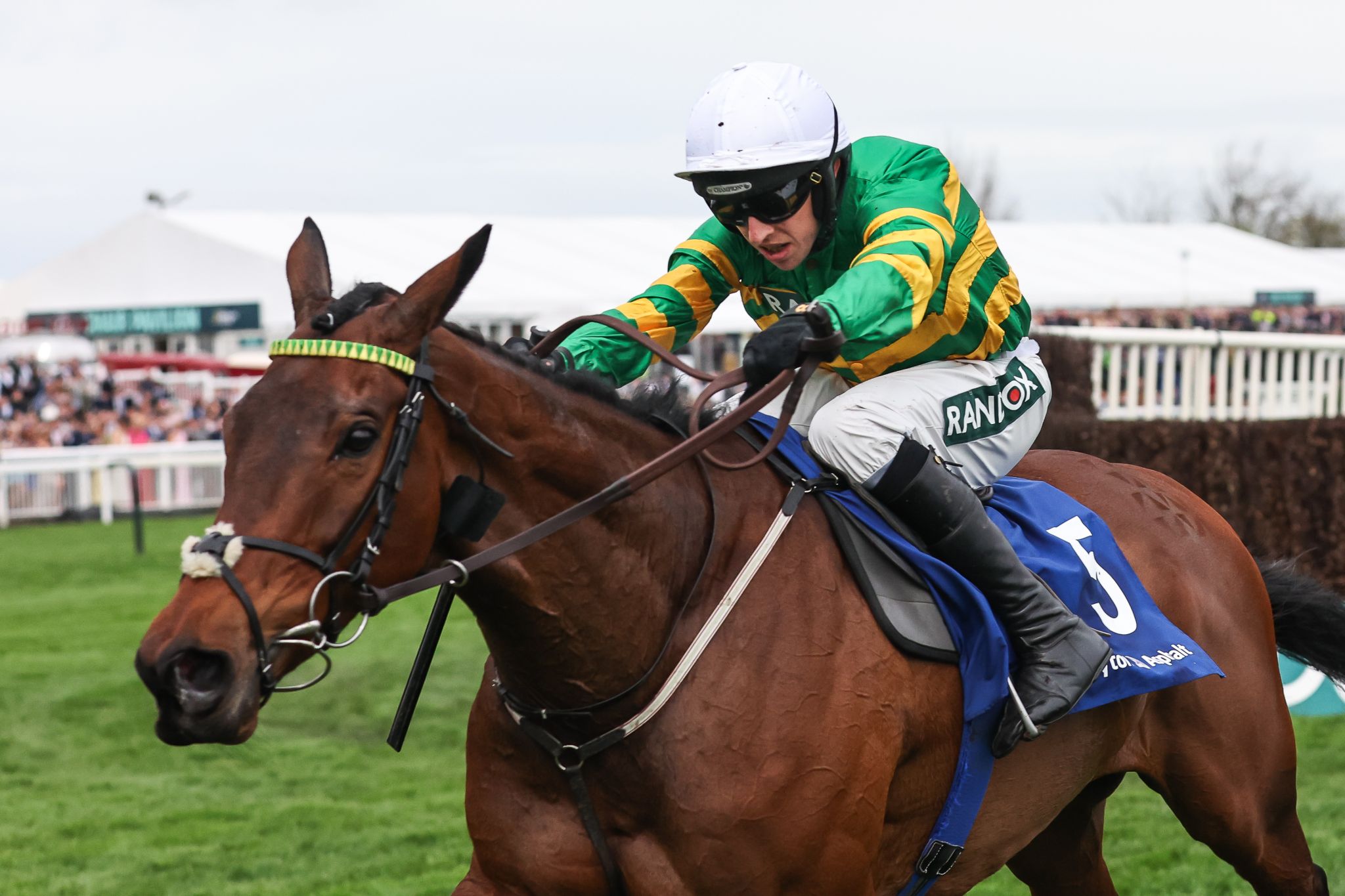 Inothewayurthinkin ridden by Mark Walsh leads the race during the 1:45pm Huyton Asphalt Franny Blennerhassett Memorial Mildmay Novices’ Steeple Chase (Class 1) during the The Randox Grand National 2024 Ladies Day at Aintree Racecourse, Liverpool, United Kingdom, 12th April 2024  (Photo by Mark Cosgrove/News Images)